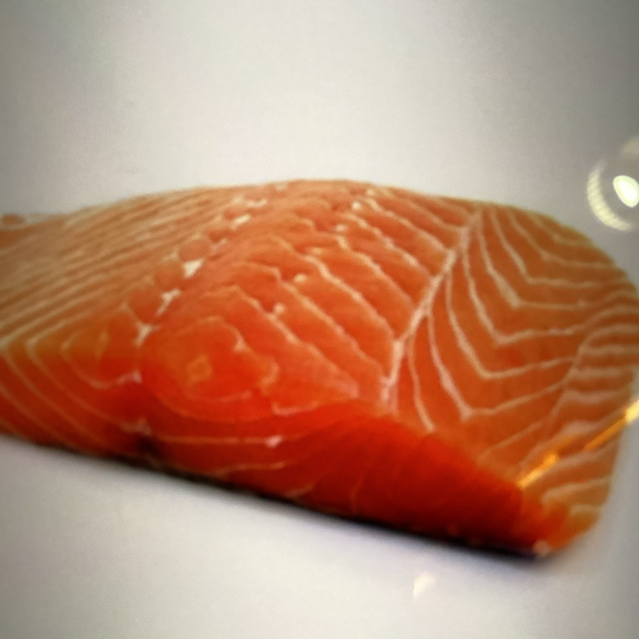 Salmon (Fresh Scottish Salmon).